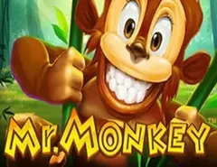Mr Monkey - Gry wideo poker